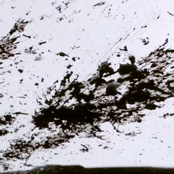 Tacoma SightLine OEM Wiper Blade Set