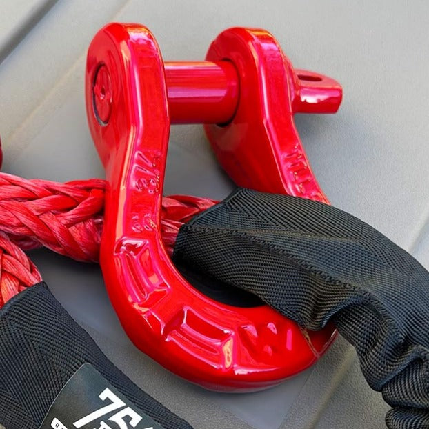 Warn 3/4" Steel D-Ring Shackle image 0