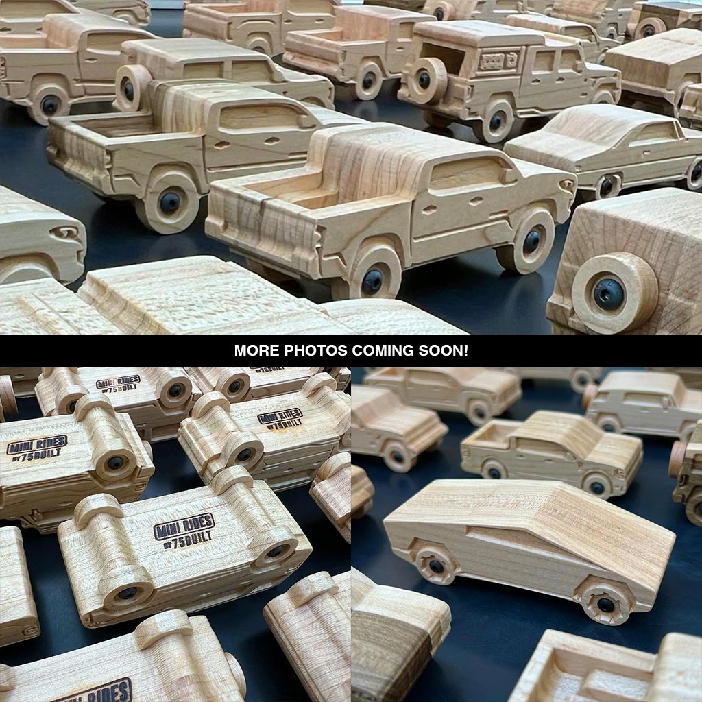 Mini Rides - VW Bus Westfalia image 0